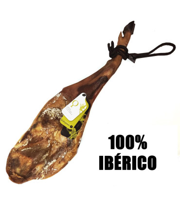 Blázquez Iberian 100% shoulder acorn Guijuelo