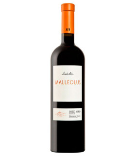 Vino tinto Malleolus 2022